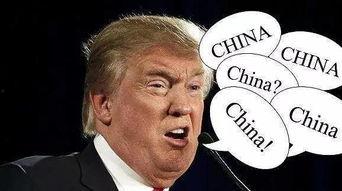 美丽的标价 吃瓜蒙主间谍身份解析,揭秘“美丽标价”背后的瓜界间谍之谜